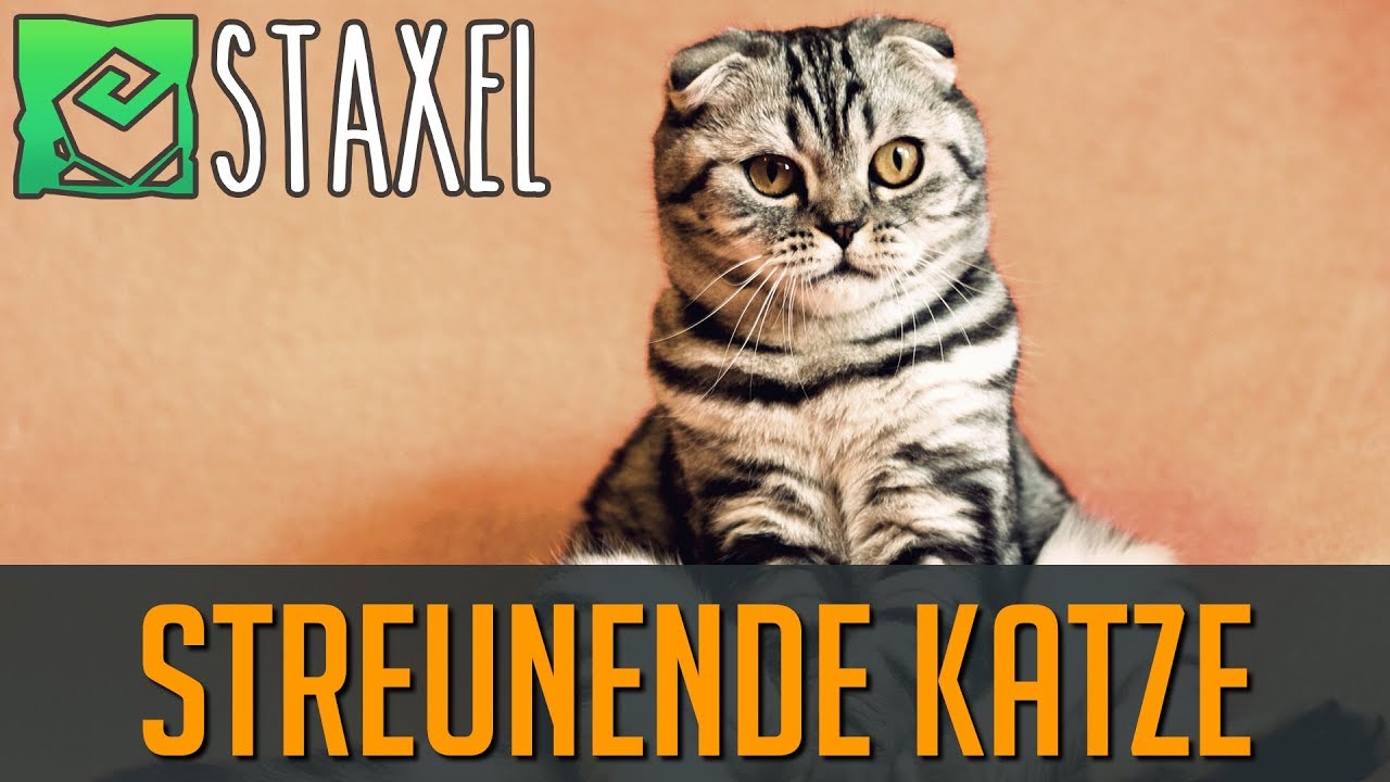 Staxel 233 Streunende Katze Deutsch