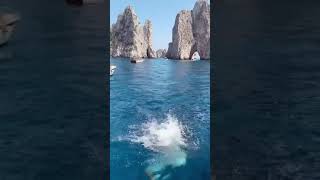 A little slice of summer heaven from Capri #shorts