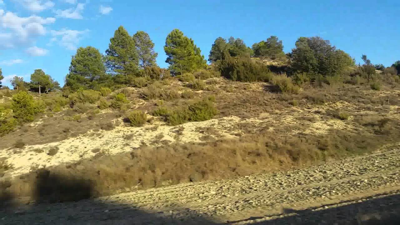 Carrera con el tren de arguisuelas a carboneras de guadazaon