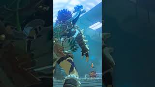 feelingfroggy #zelda #zeldabotw #botw #gamer #gaming #gameplay #videogame #zeldatotk #totk #nintendo