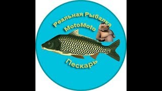 Пескарь [АРХИВ] | Реальная Рыбалка