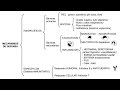 Inmunología 01 - Mecanismos de defensa inespecíficos y específicos