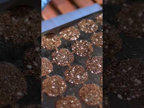 زراعات شهر مارس وإبريل YuoTubeHighFive Youtubecreators 