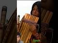 Leo Rojas with Sunpa #sunpa #leorojas #panflutemusic #panflute #musica #flute #natura #shorts #viral