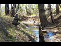 ОТКУДА В РУЧЬЕ СТОЛЬКО !!НАДО ЖЕ ТАК ПОПАСТЬ!! Рыбалка 2019 fishing in the puddles and streams