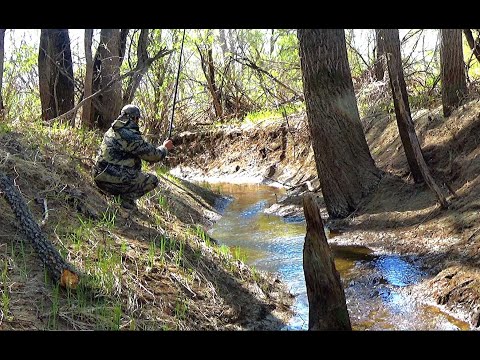 ОТКУДА В РУЧЬЕ СТОЛЬКО!!НАДО ЖЕ ТАК ПОПАСТЬ!! Рыбалка 2019 fishing in the puddles and streams