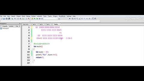 bitwise operators in c /bitwise negative number left shifting