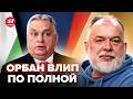 ШЕЙТЕЛЬМАН: Орбана РАЗМАЗАЛИ! Всплыла ТАЙНАЯ СДЕЛКА с Путиным. Евросоюз ВЗБУНТОВАЛСЯ против Венгрии