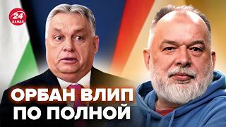 SHEITELMAN: Orban DIDN'T EXPECT THIS TO SURFACE. Budapest IS PUSHED. Budapest IS ON THE BRINK. Th... screenshot 4