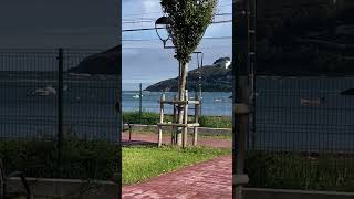 De la ría al mar. Urdaibai en Busturia