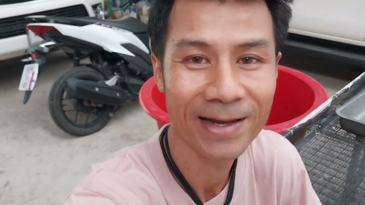 ep. 14 # ถั่วงอกอันธิกา #ถั่วงอกพารวย น้ำวนถั่วงอกงามๆ 🥰💫💯💢💫👌