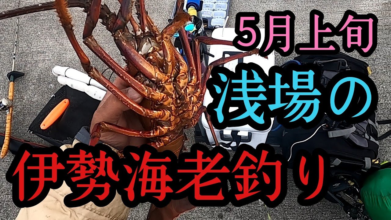 伊勢海老釣り釣行第2回目