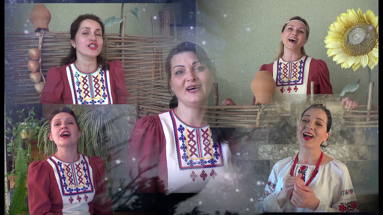 Голубая ночь калина