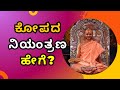 How to control anger how anger destroys our sadhane  sri satyatma tirtha tatvajnana