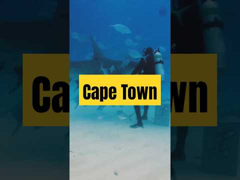 Epic Outdoor Adventures in Cape Town! Epic Outdoor Adventures in Cape Town! Thumbnail