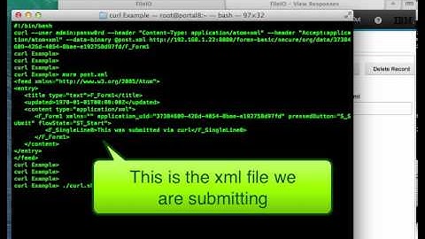 Forms Experience Builder  curl example