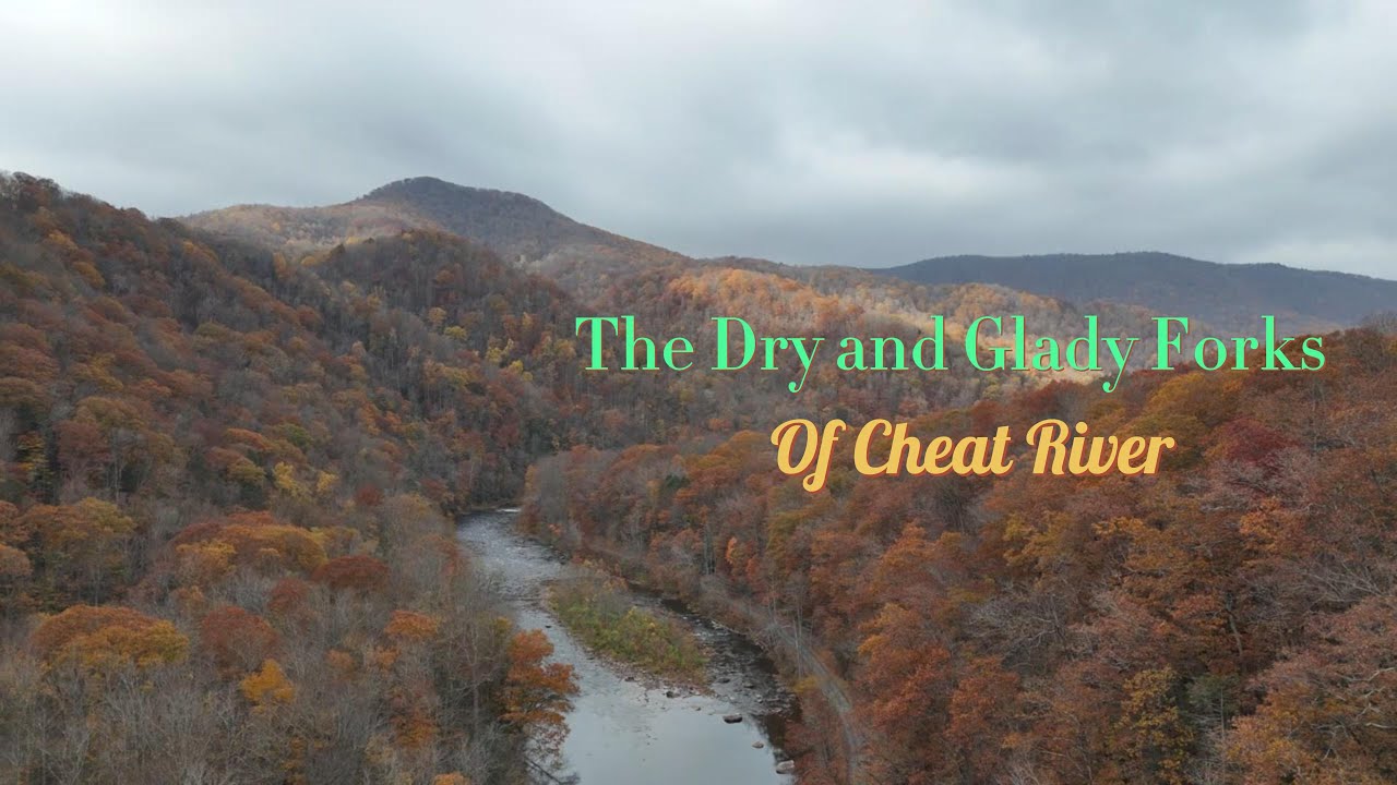 Glady and Dry Forks of Cheat River YouTube