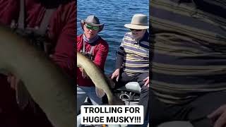 TROLLING FOR BIG MUSKY!!! #shorts #bigfish #fishing #fish #musky