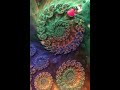 Fractals #fractal #fractalvisuals #fractalpatterns #aimusictown #suno #cinematic #cinematicmusic #ai