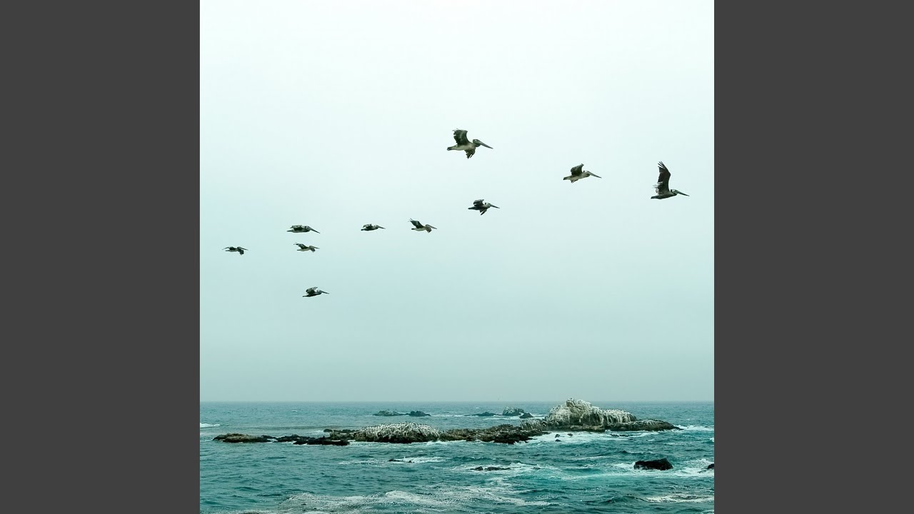oswan rewind