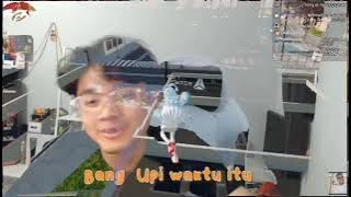Bang AL Si Pecinta Kobosaurus
