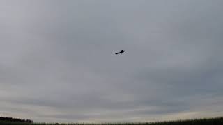 TopRC Spitfire MkIX electric