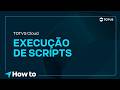HOW TO | EXECUTE SCRIPTS NO T-CLOUD!