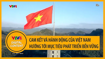 Cam kết và hành động của Việt Nam hướng tới mục tiêu phát triển bền vững | VTV4