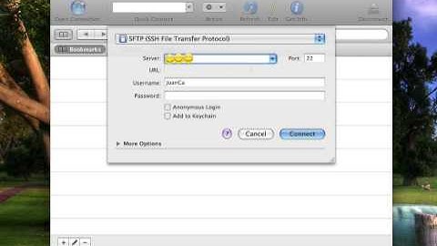 How to Upload Themes & Stuff to your iPhone or iPod Touch via SSH