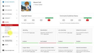 How to Hide Number of YouTube Subscribers you have screenshot 5