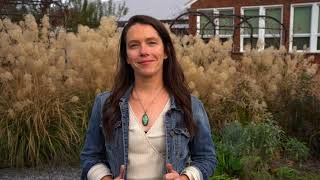 Famous Trellis Garden Co. Introduction Net Worth