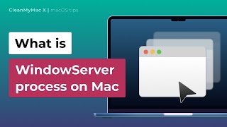 WindowServer Process on Mac Explained [  Proven Mac Speed Up Tips]