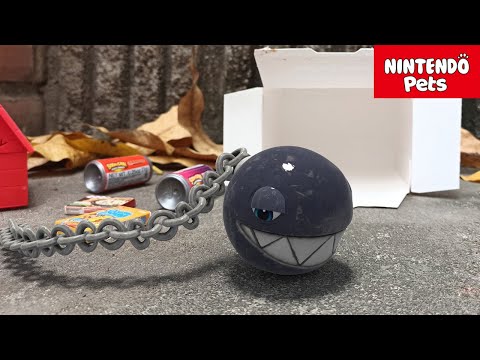 Adopting a Nintendo Pet (a little Chain Chomp) #mario #mariobros #nintendo