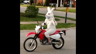 Easter Dare