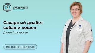 Сахарный диабет, лектор Дарья Пожарская