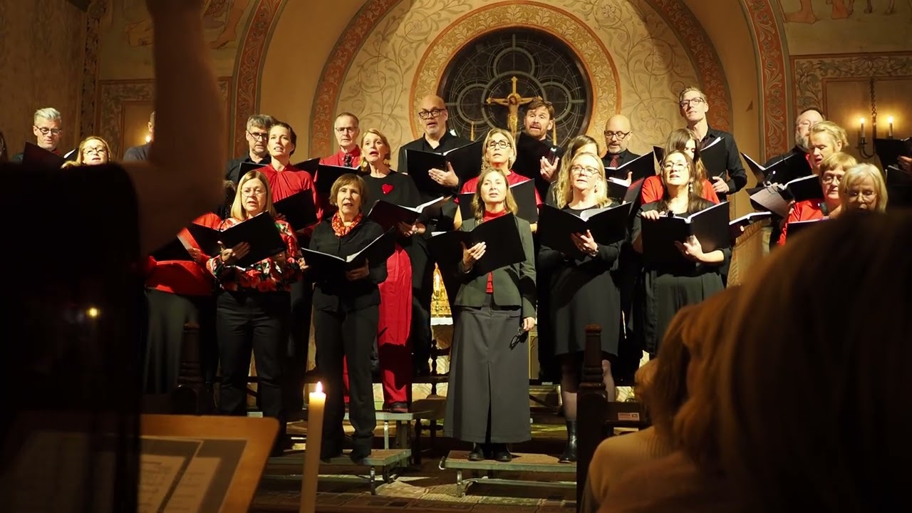 Täby Nya Kammarkör – Julkonsert 2025: Carol of the Bells