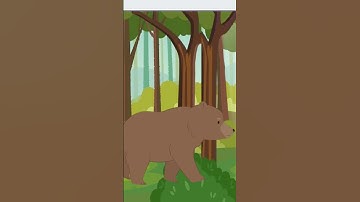 Scrolling Forest Animation in Scratch | Bear & Bee 🐻🌲#scratch #blockcoding #animation