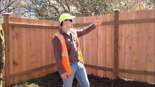 Green Zone Landscapes. New Cedar Fence installation. Simple fence.