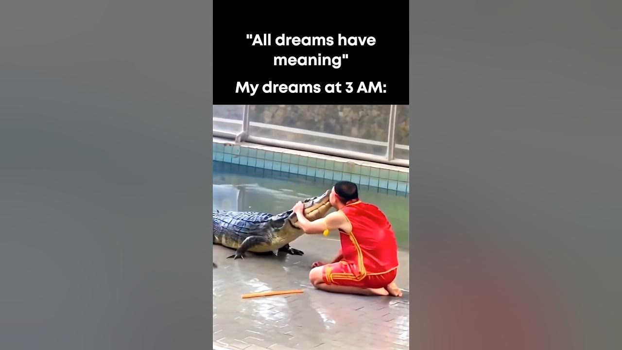 “All dreams have meaning…” “All dreams have meaning…”