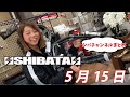 今日のSHIBATA　5月15日
