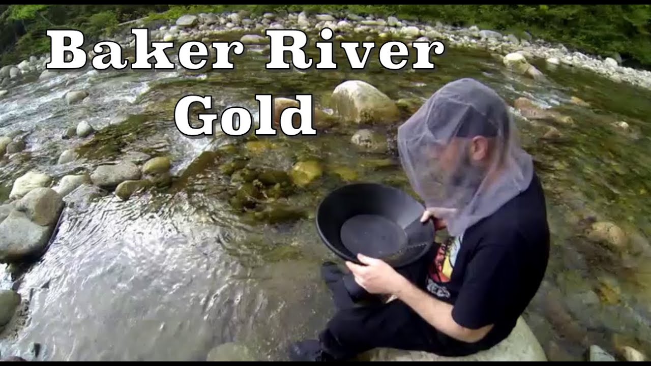 Gold Prospecting/Baker River Gold Camp YouTube