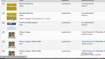 Thesis Theme: Add Image to blog PAGE with WordPress Thesis Theme 1.8