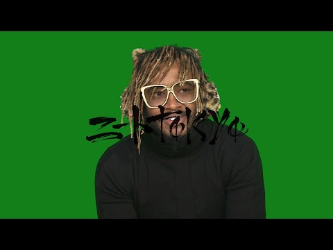 Thundercat : Origin of the name of the domestic cat "TRON"