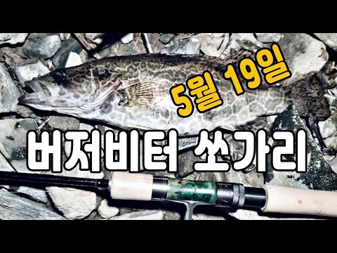 깜깜이 금어기 전 쏘가리 출조/ 버저비터 쏘가리/ 쏘가리 낚시가 가장 어렵다~!!