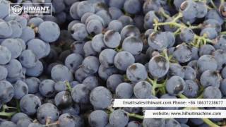 Grape Destemmer Machine & Sorting Table Processing Line