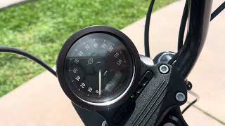 2020 Harley Davidson Sportster 1200 Iron