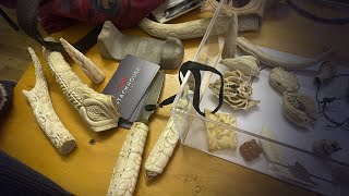 Marae stay and te ao Māori view get enthusiastic response from bone carving symposium