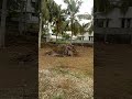 Plots Sale At Pongumoodu 9846175133 