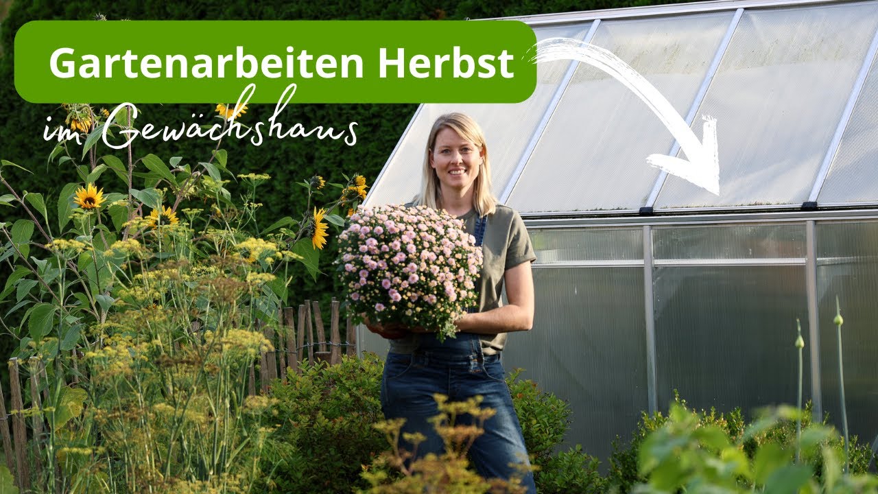 Ich bereite mein Gewchshaus fr den Herbst vor  Wichtige Gartenarbeiten  vor dem Winter