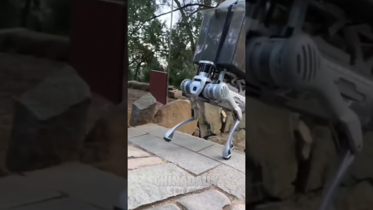 A robot dog carrying garbage on Mount Tai